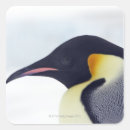 Search for cute island stickers Penguin