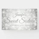 Search for winter wonderland banners Silver