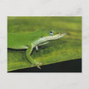 Search for spring leaves postcards Woodland