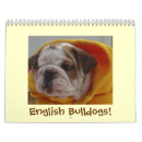 Search for cutest office supplies Puppies