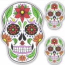 Search for skull macbook cases Cute