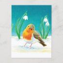 Search for erithacus postcards Birds