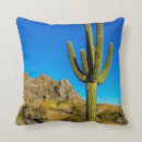 Search for cactus cushions Arizona
