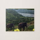 Search for elephant puzzles Wild animals