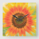 Search for danita delimont clocks Stuart westmorland