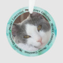 Search for kitten christmas tree decorations Animal