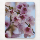 Search for cherry blossom mousepads White