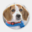 Search for dog breed magnets Canine
