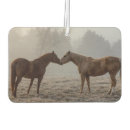 Search for horse car air fresheners Country