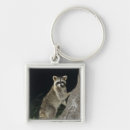 Search for racoon key rings Outdoor