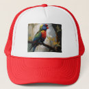 Search for perch hats Colourful