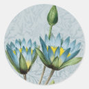 Search for lotus blossom stickers Blue