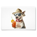 Search for puppy posters Animal