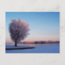 Search for snowy landscape postcards Forest
