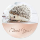 Search for cute hedgehogs stickers Lovely