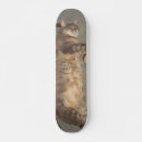 Search for sick skateboards Cool