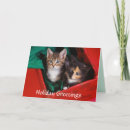 Search for kitten christmas cards Feline