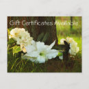 Search for certification postcards Salon