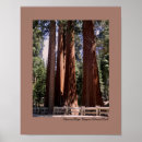 Search for national park posters Landscape