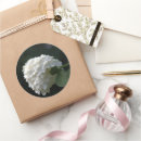 Search for white hydrangea wedding stickers Floral