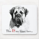 Search for mastiff electronics English
