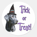 Search for black lab stickers Animals