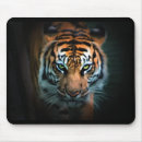 Search for eye electronics Tiger