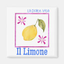 Search for vita magnets Italian