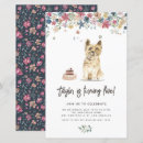 Search for cairn terrier Birthday