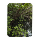 Search for ponds magnets Tree