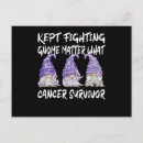Search for survivor postcards Fight