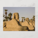 Search for dave postcards Culture