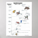 Search for horse eventing posters Equine
