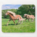 Search for actions mousepads For her