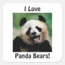 Search for love bears stickers Panda