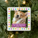 Search for colored christmas tree decorations Puppy