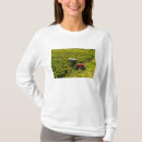 Search for duval clothing Ie