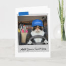 Search for calico cat cards Cats