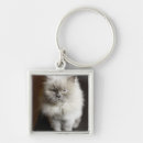 Search for himalayan key rings Cat