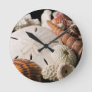 Search for seashell clocks Coral