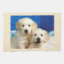 Search for labrador tea towels Cute