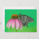Search for tiger thank you cards Gold