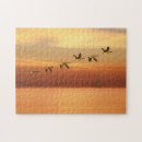 Search for geese puzzles Sunset