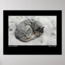 Search for siberian posters Snow
