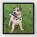 Search for tongue clocks Dog