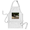 Search for gopher tortoise Photography
