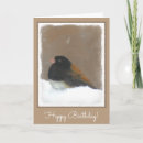 Search for junco cards Bird