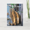 Search for fat cat birthday cards Humourous