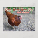 Search for bird eggs postcards Hen