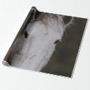 Search for pony wrapping paper Wild